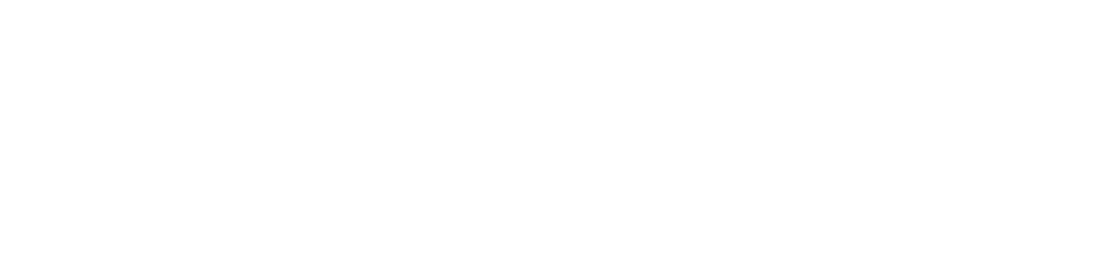 The Crazy Life of Tony Gannon